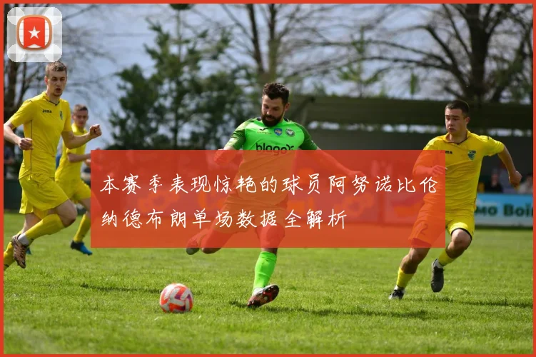 本赛季表现惊艳的球员阿努诺比伦纳德布朗单场数据全解析