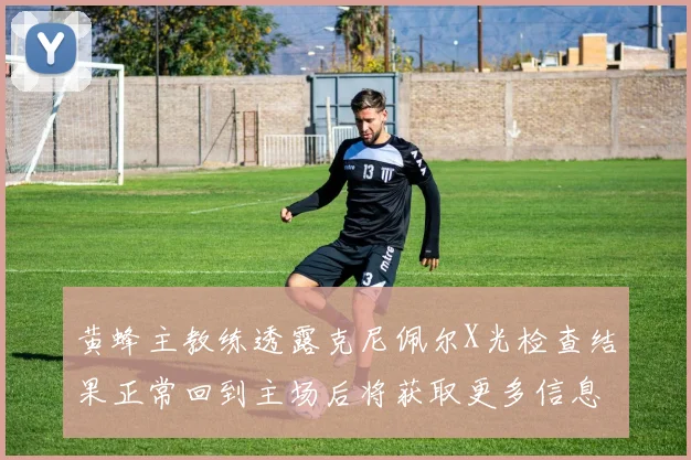 黄蜂主教练透露克尼佩尔X光检查结果正常回到主场后将获取更多信息